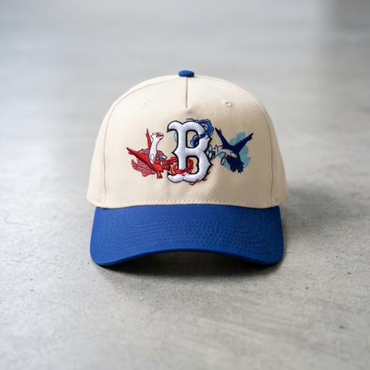 Twins birds red and blue SnapBack hat